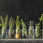 텃밭 채소 초보자도 쉽게 기르기