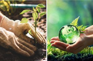 환경을 위한 정원 가꾸기