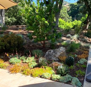 새를유인하는최고의식물