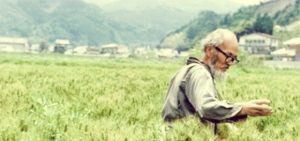 친환경 농업: 지속 가능한  자연 농업