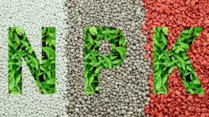 성분에 따라 달라지는 비료 사용법