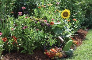 조경 디자인에 식용 식물을 활용하는 방법