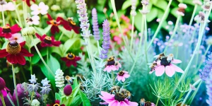 정원에 벌과 같은 수분 매개체를 유인하는 방법