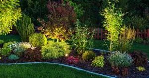 휴식 공간으로 변모시키는 뒷마당 조경 팁