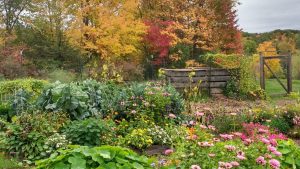 정원 블로그를 위한 계절별 콘텐츠 캘린더