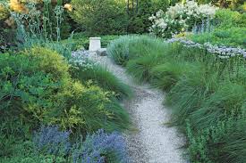 물 절약형 정원 가꾸기: 가뭄에 강한 식물들