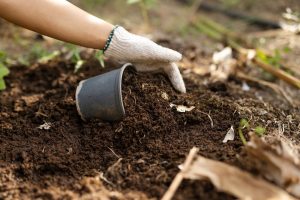 재생 정원: 토양 건강과 생물 다양성