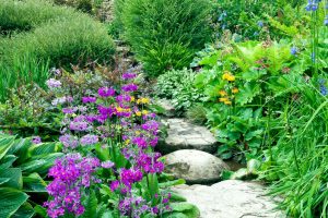 코티지 스타일 정원 디자인: 로맨틱, 야생화, 자연주의