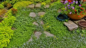 관리가 쉬운 조경: 최소한의 관리의 아름다운 정원