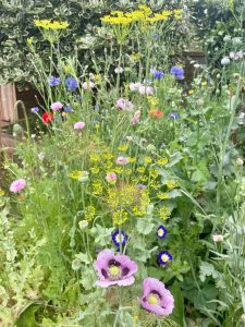 재생 정원: 토양 건강과 생물 다양성