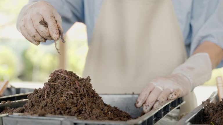 재생 정원: 토양 건강과 생물 다양성