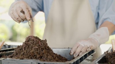 재생 정원: 토양 건강과 생물 다양성