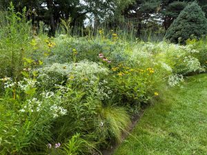 관리가 쉬운 조경: 최소한의 관리의 아름다운 정원