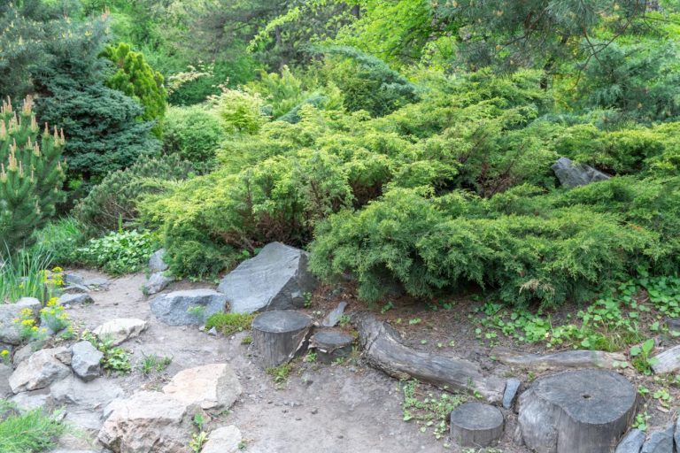 지속 가능한 경관 조성: 간편한 친환경 야외 디자인