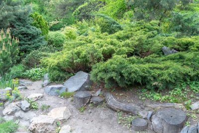 지속 가능한 경관 조성: 간편한 친환경 야외 디자인