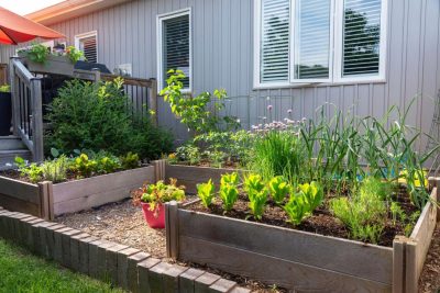 정원을 처음부터 시작하는 방법